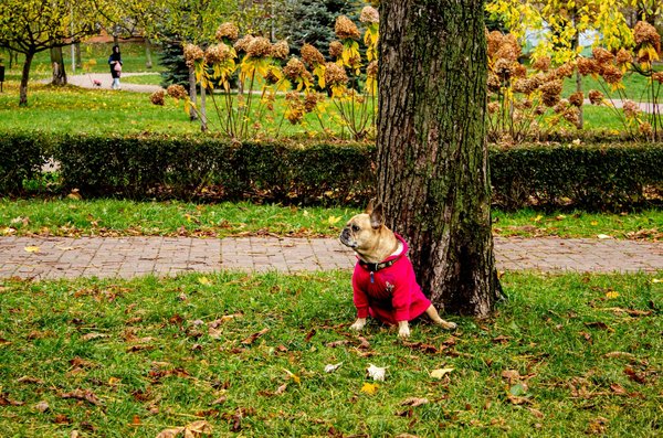 Transformations Innovantes dans les Pratiques de la Médecine Sportive : Un Nouveau Regard